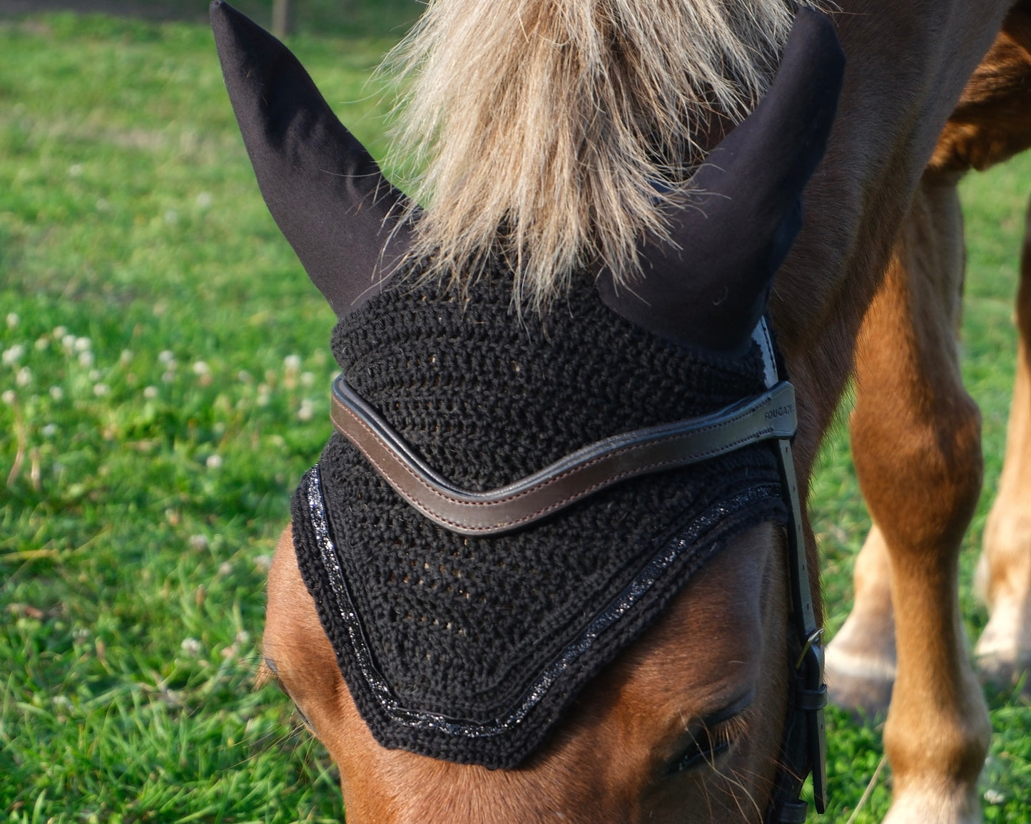 Box DIY "réalise ton bonnet au crochet CHEVAL & PONEY" Noir et Brillant