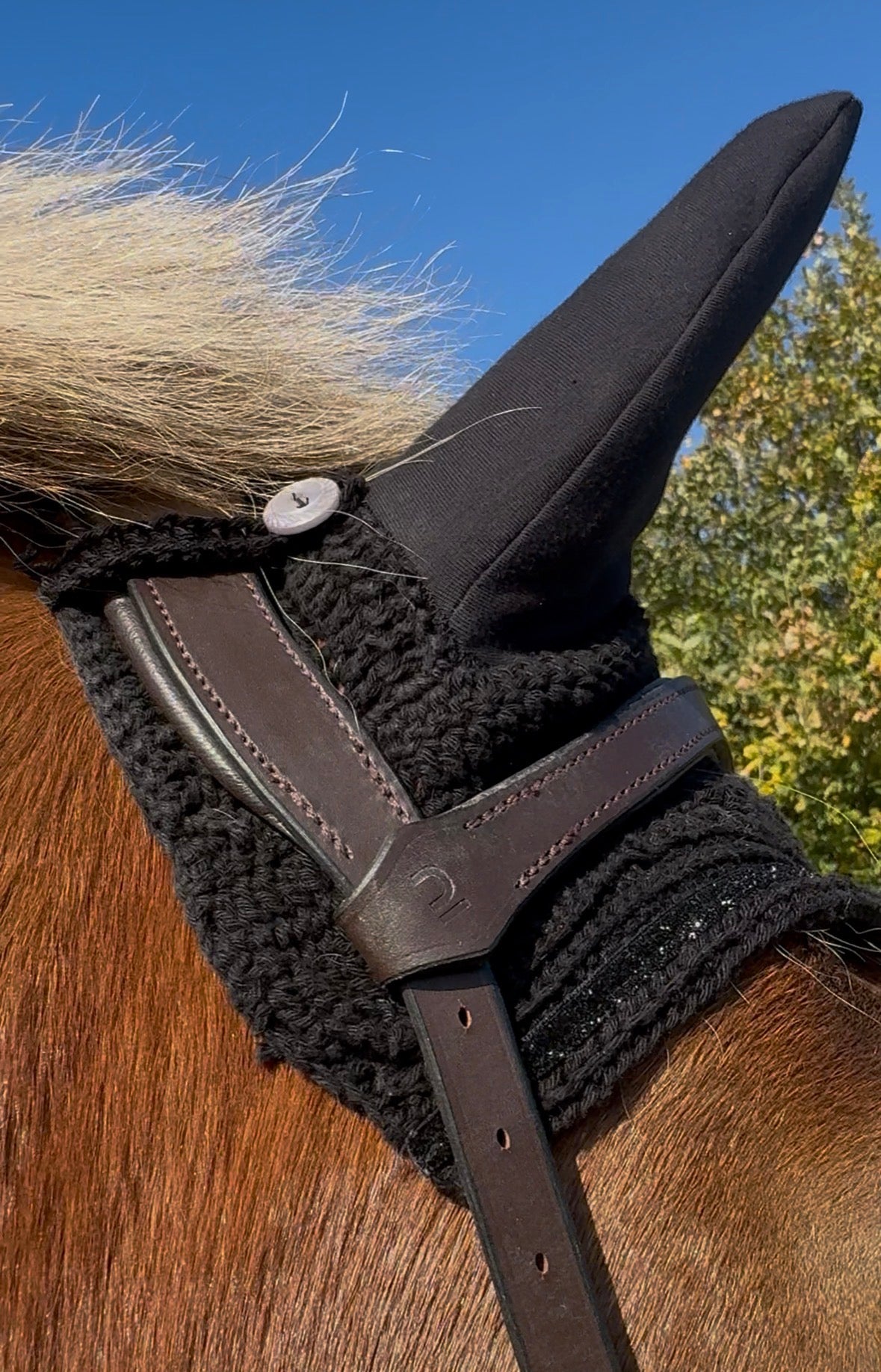 Box DIY "réalise ton bonnet au crochet CHEVAL & PONEY" Noir et Brillant