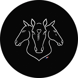 store_logo