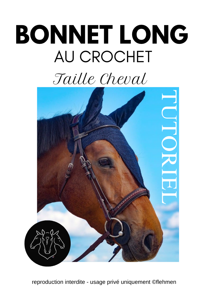 Tutoriel BONNET long CHEVAL (numérique)