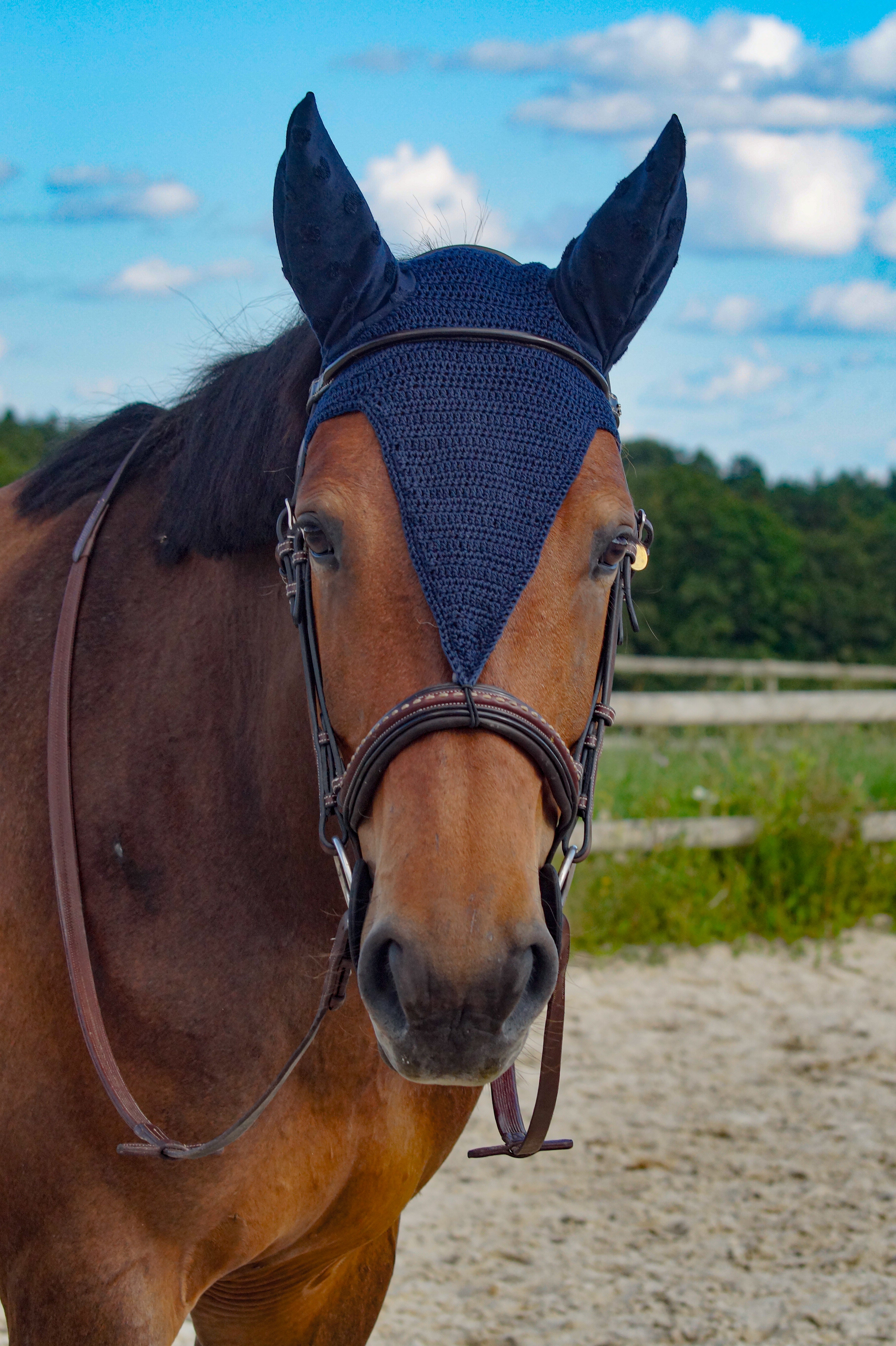 Tutoriel BONNET long CHEVAL (numérique)