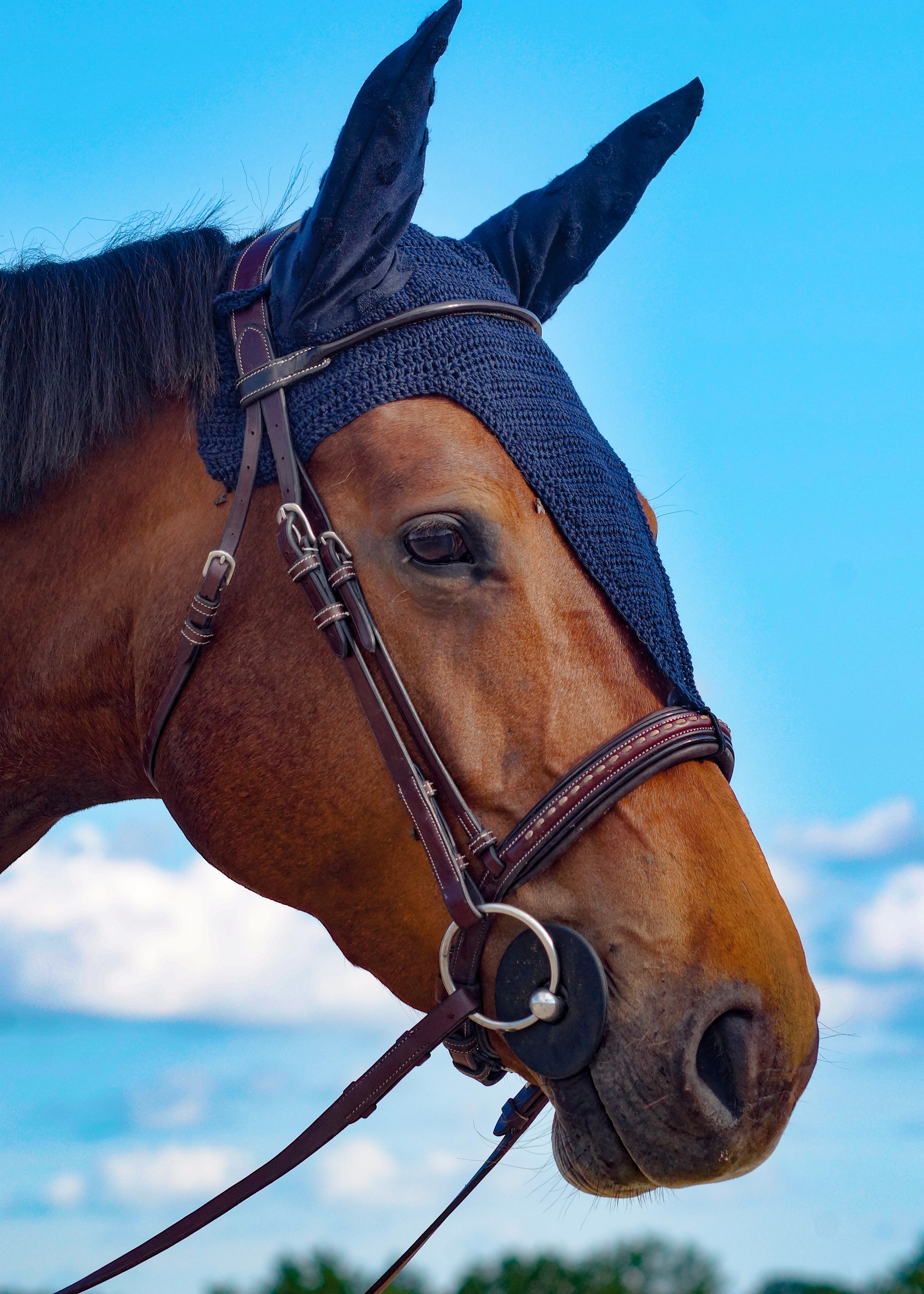 Tutoriel BONNET long CHEVAL (numérique)