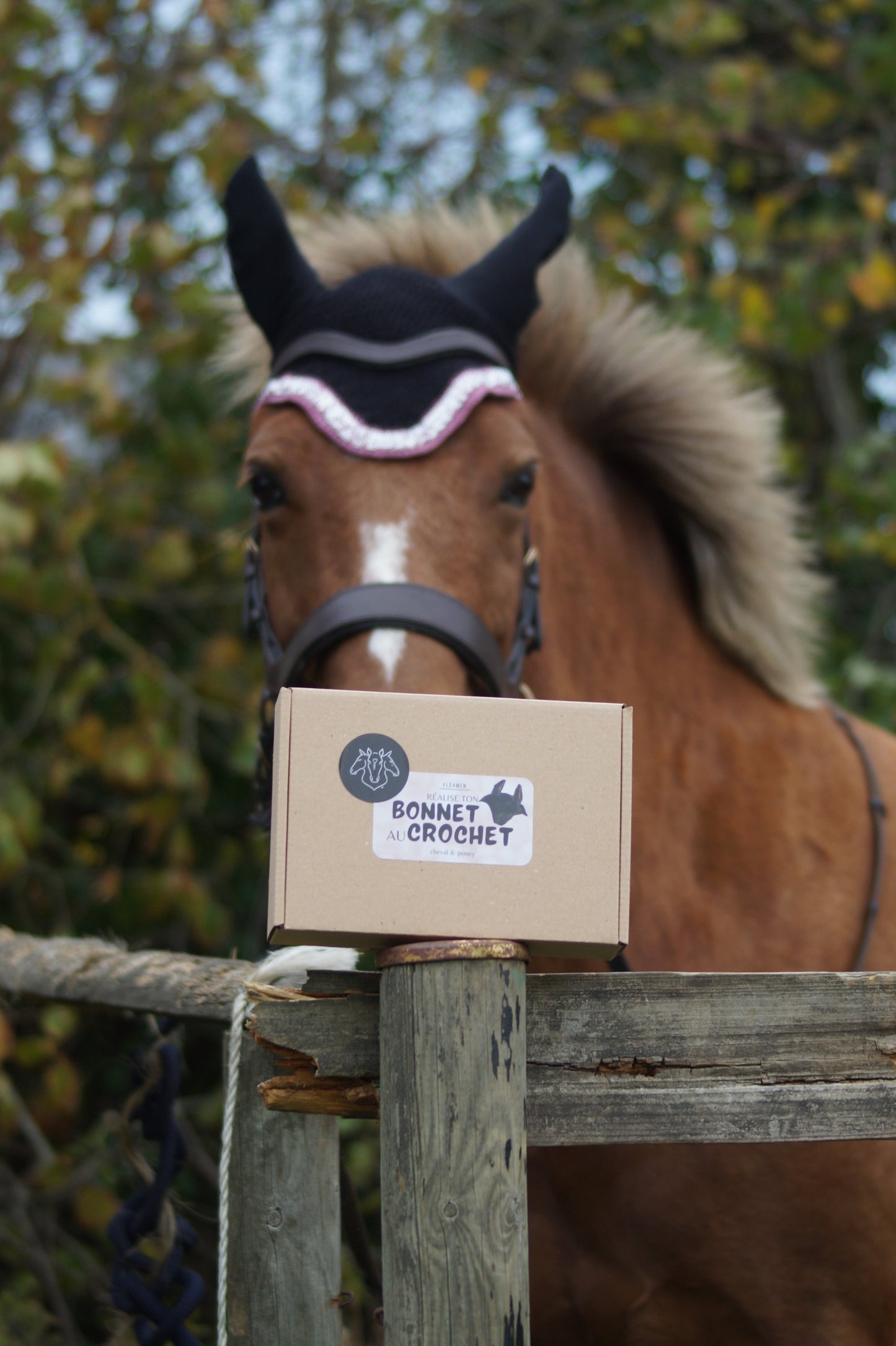 Box DIY "réalise ton bonnet au crochet CHEVAL & PONEY"