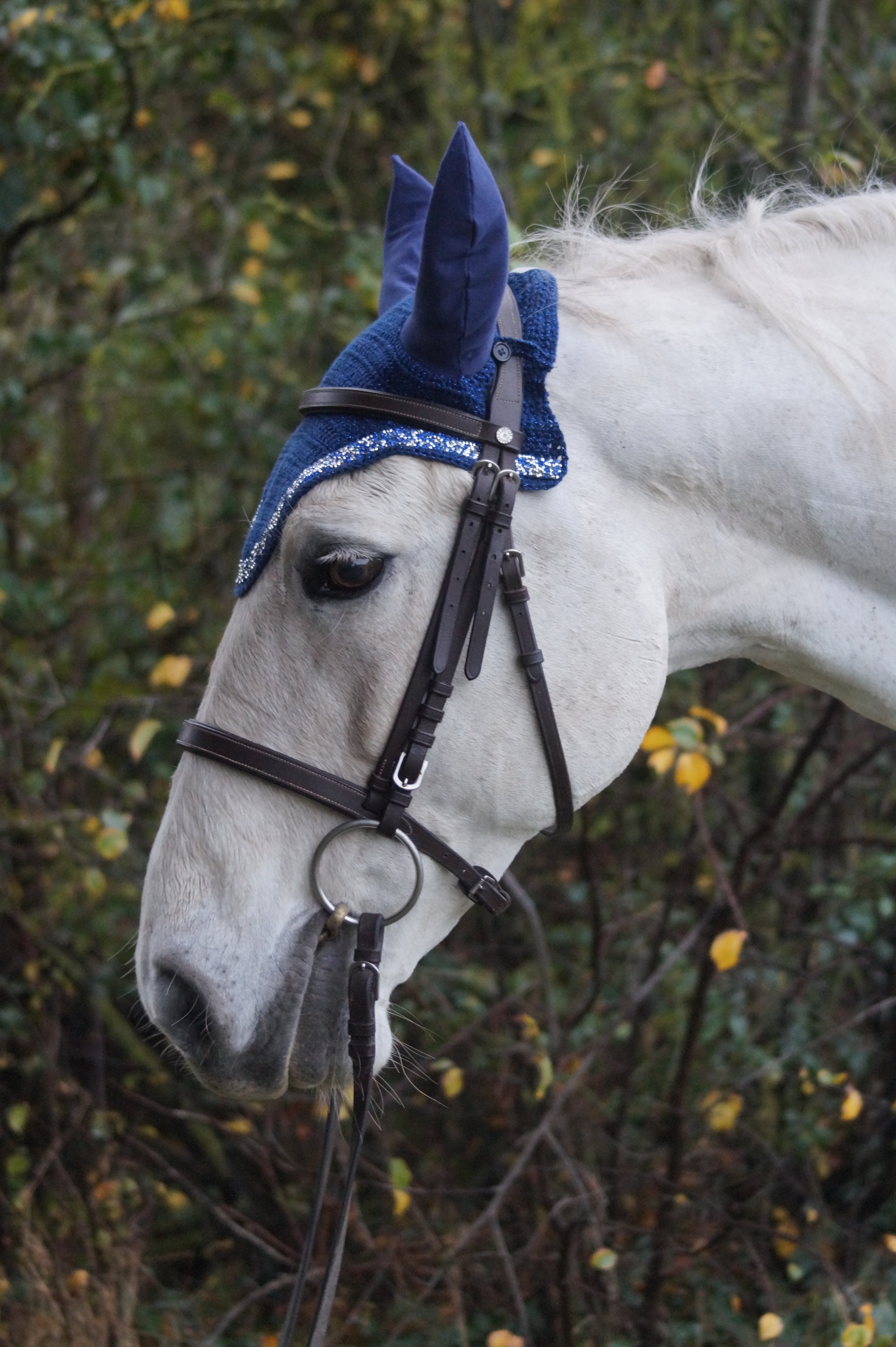 Tutoriel BONNET court CHEVAL (numérique)