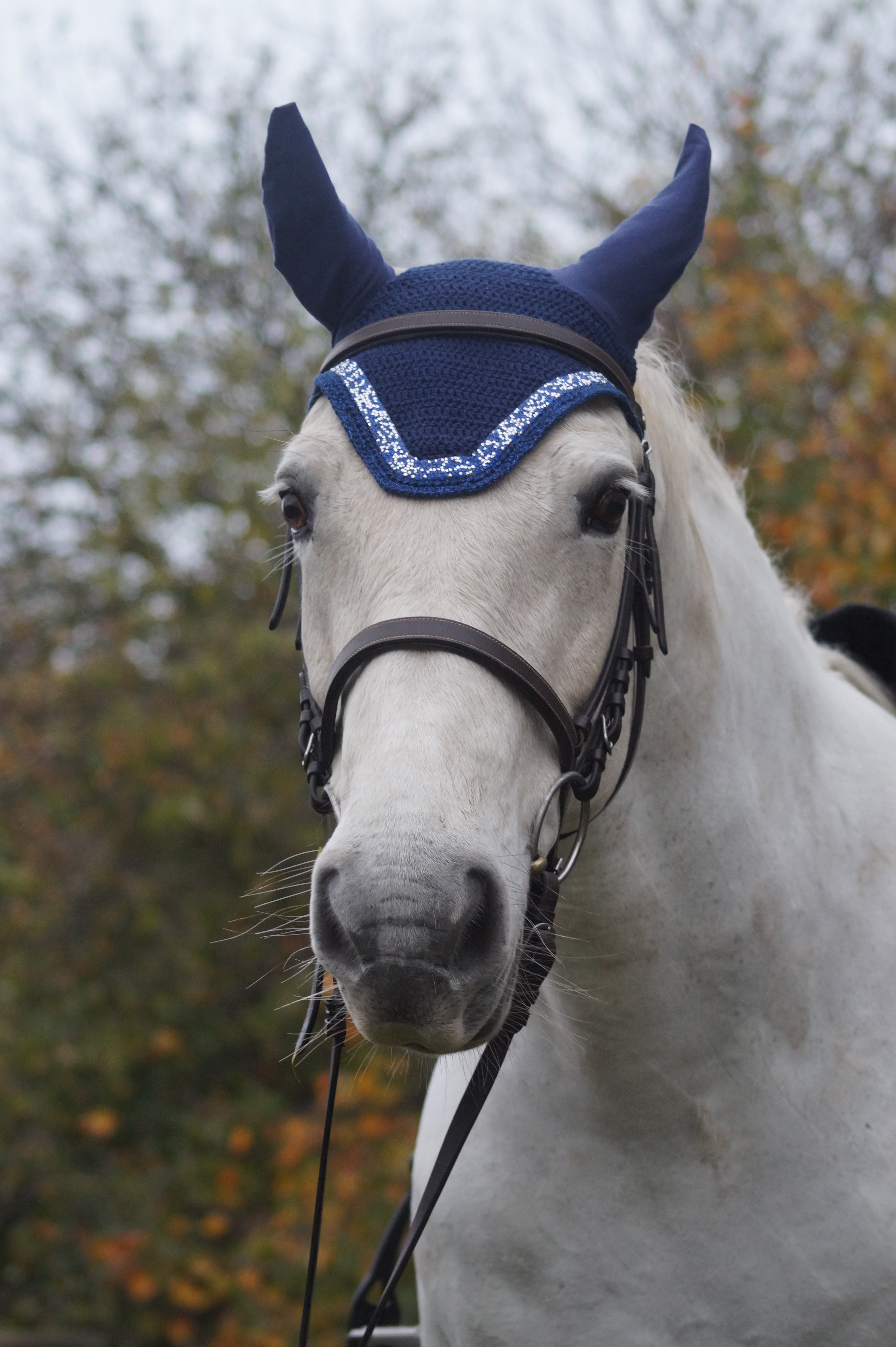 Box DIY "réalise ton bonnet au crochet CHEVAL & PONEY"