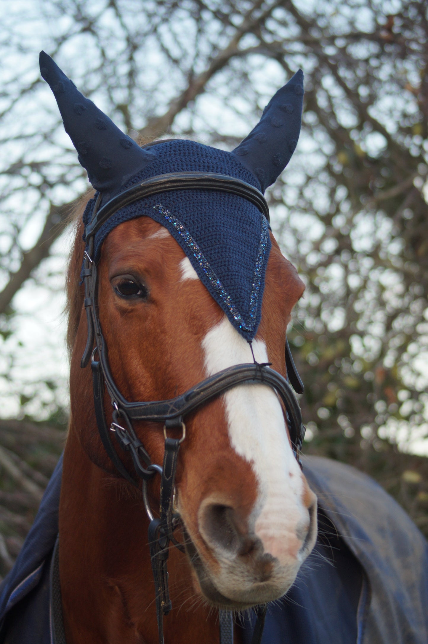 Box DIY "réalise ton bonnet au crochet CHEVAL & PONEY"