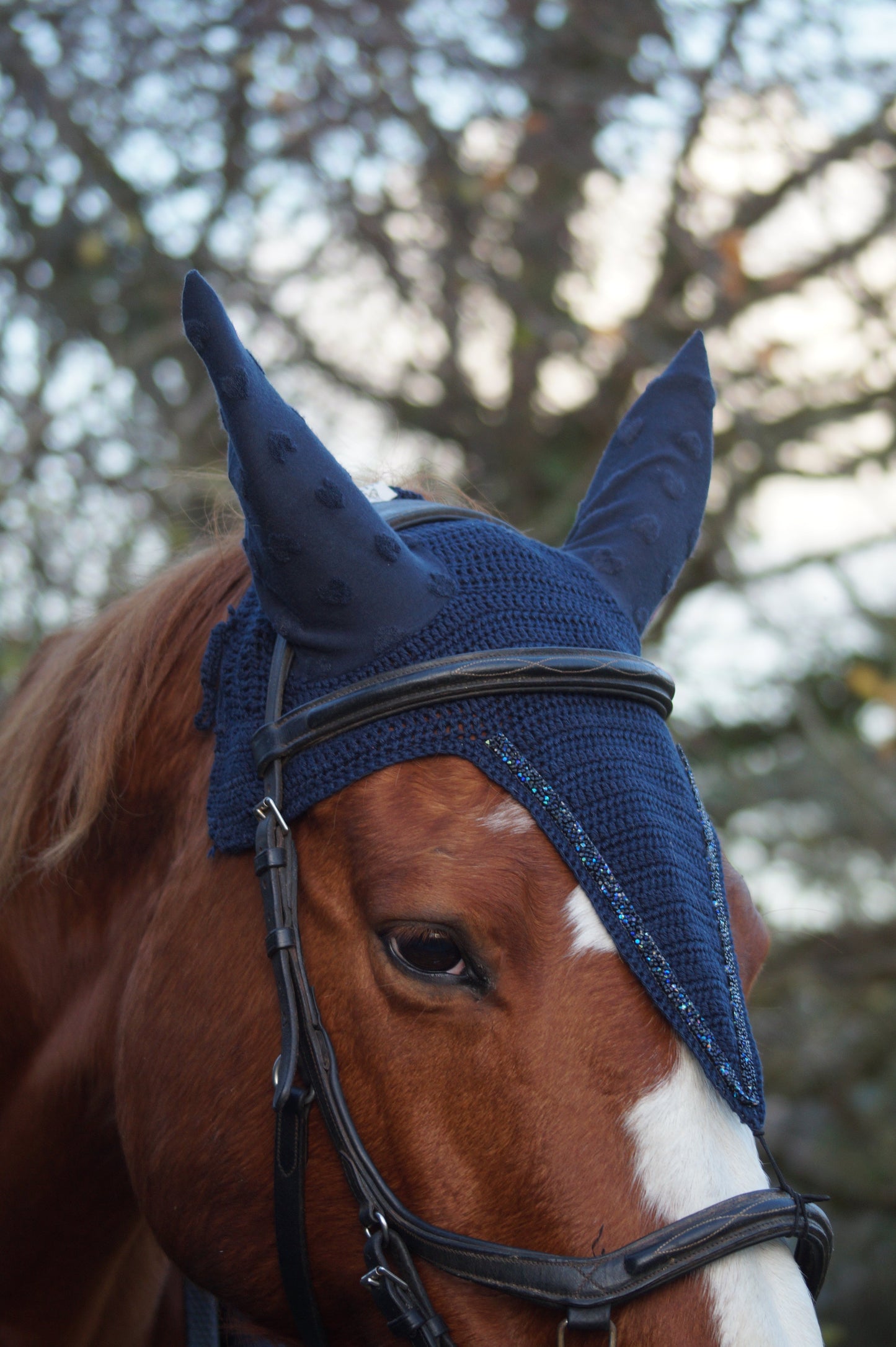 Box DIY "réalise ton bonnet au crochet CHEVAL & PONEY"