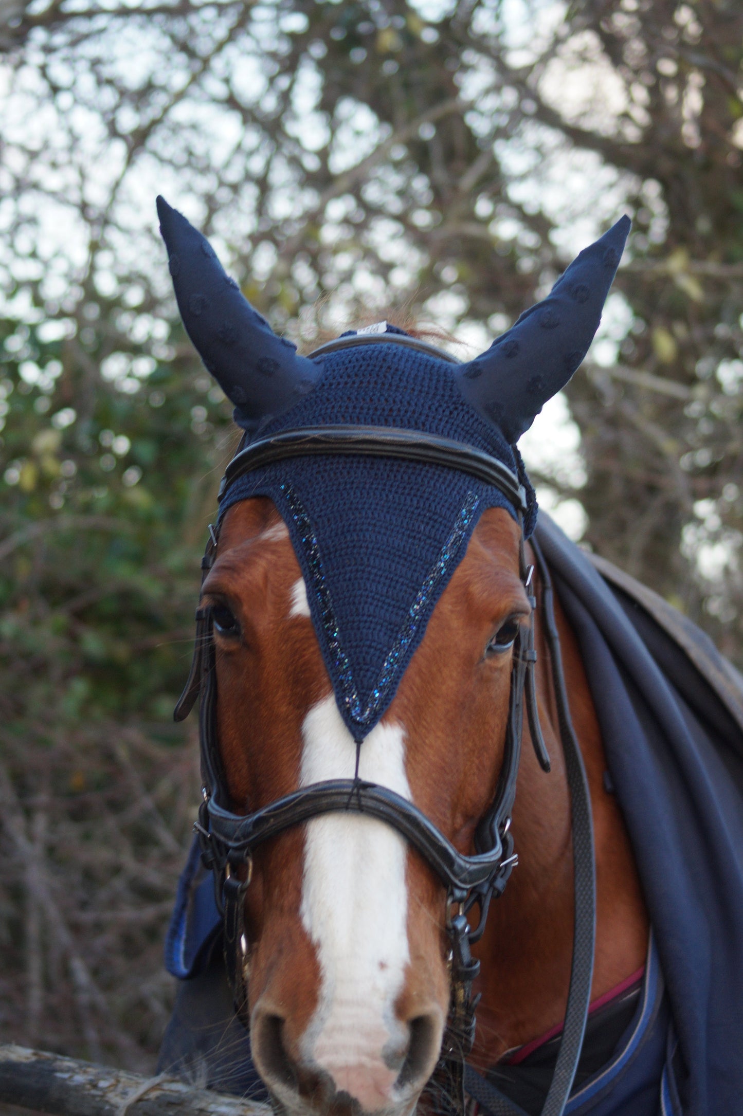 Box DIY "réalise ton bonnet au crochet CHEVAL & PONEY"