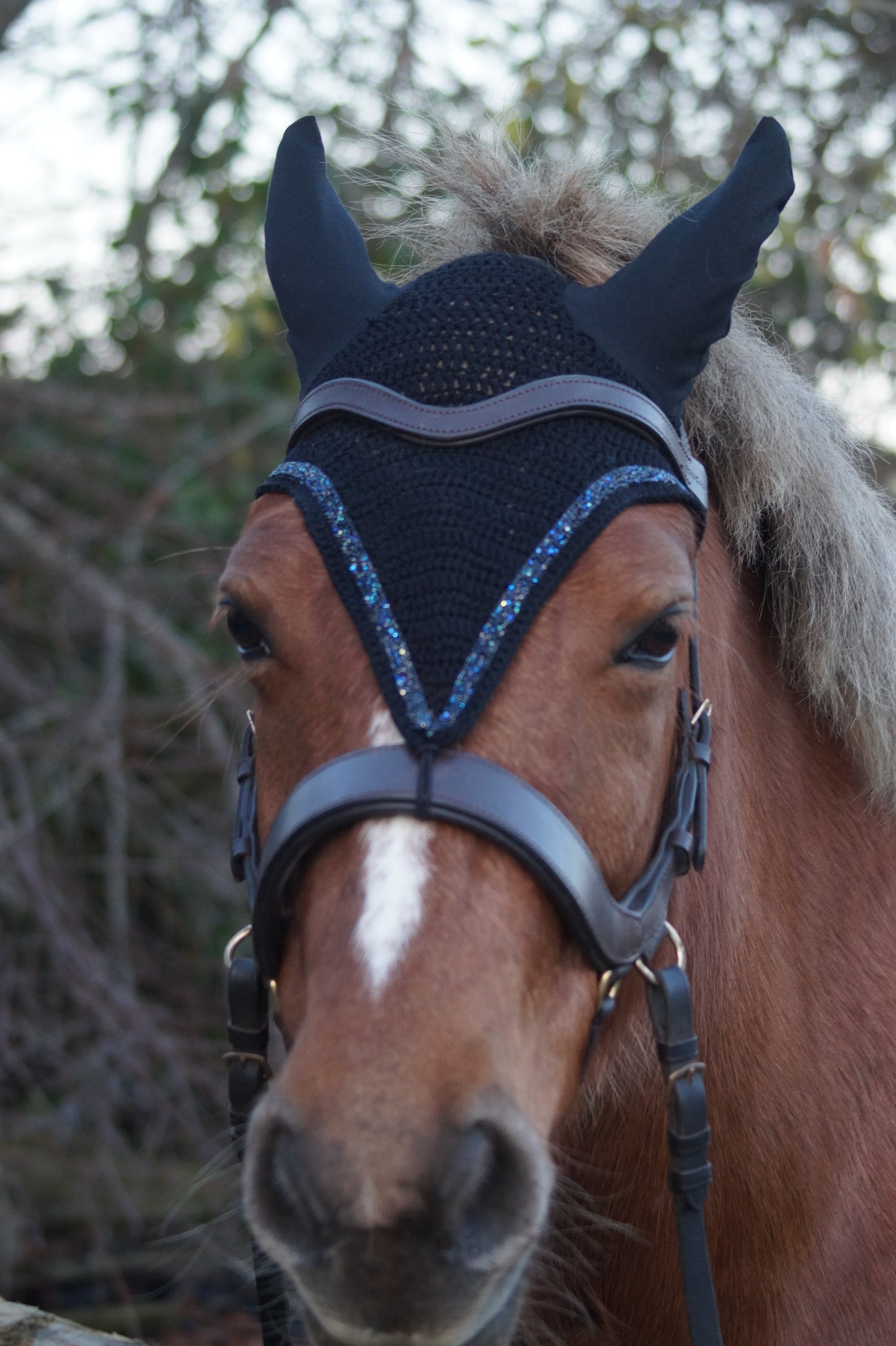 Box DIY "réalise ton bonnet au crochet CHEVAL & PONEY"
