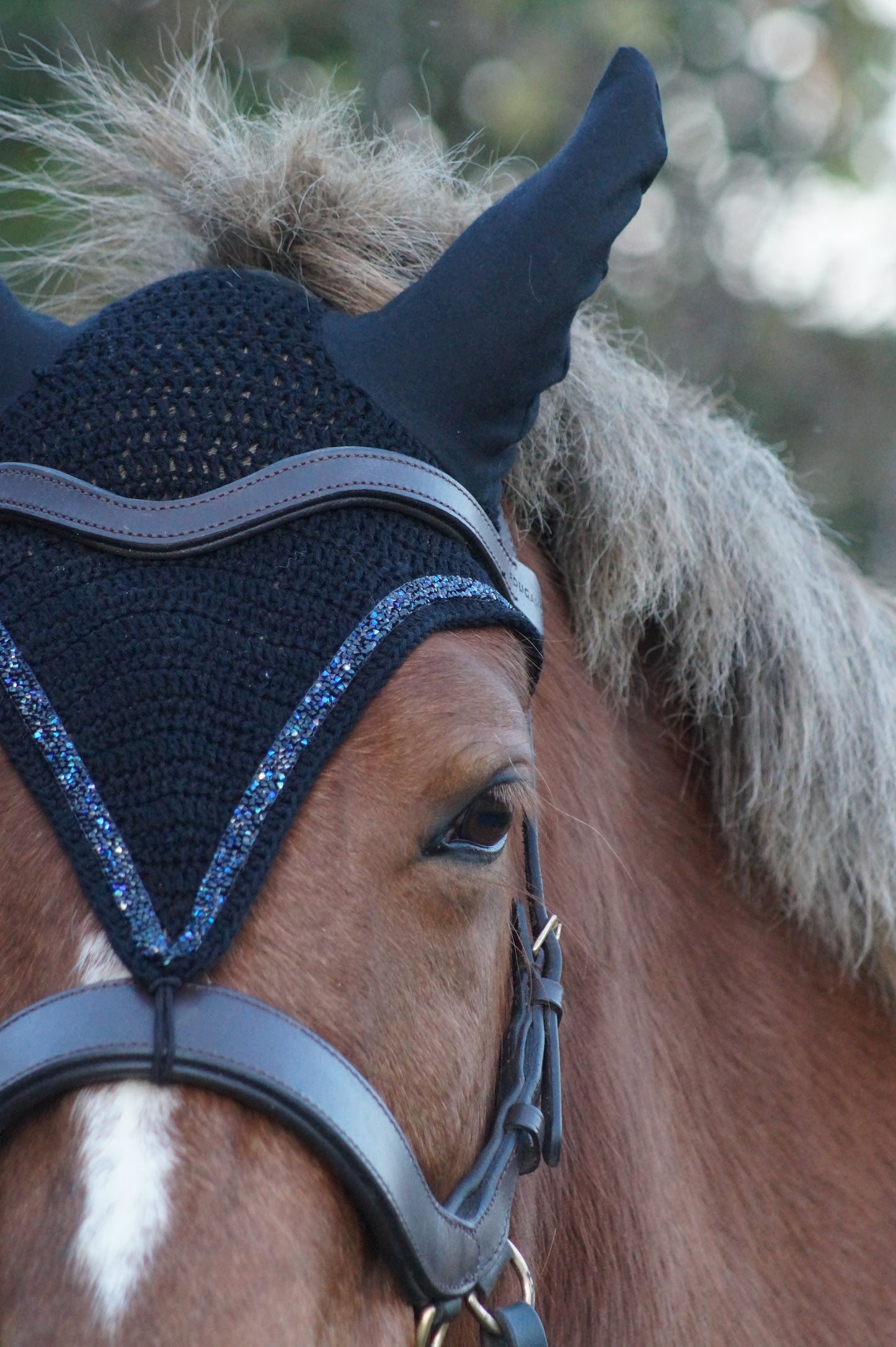 Box DIY "réalise ton bonnet au crochet CHEVAL & PONEY"