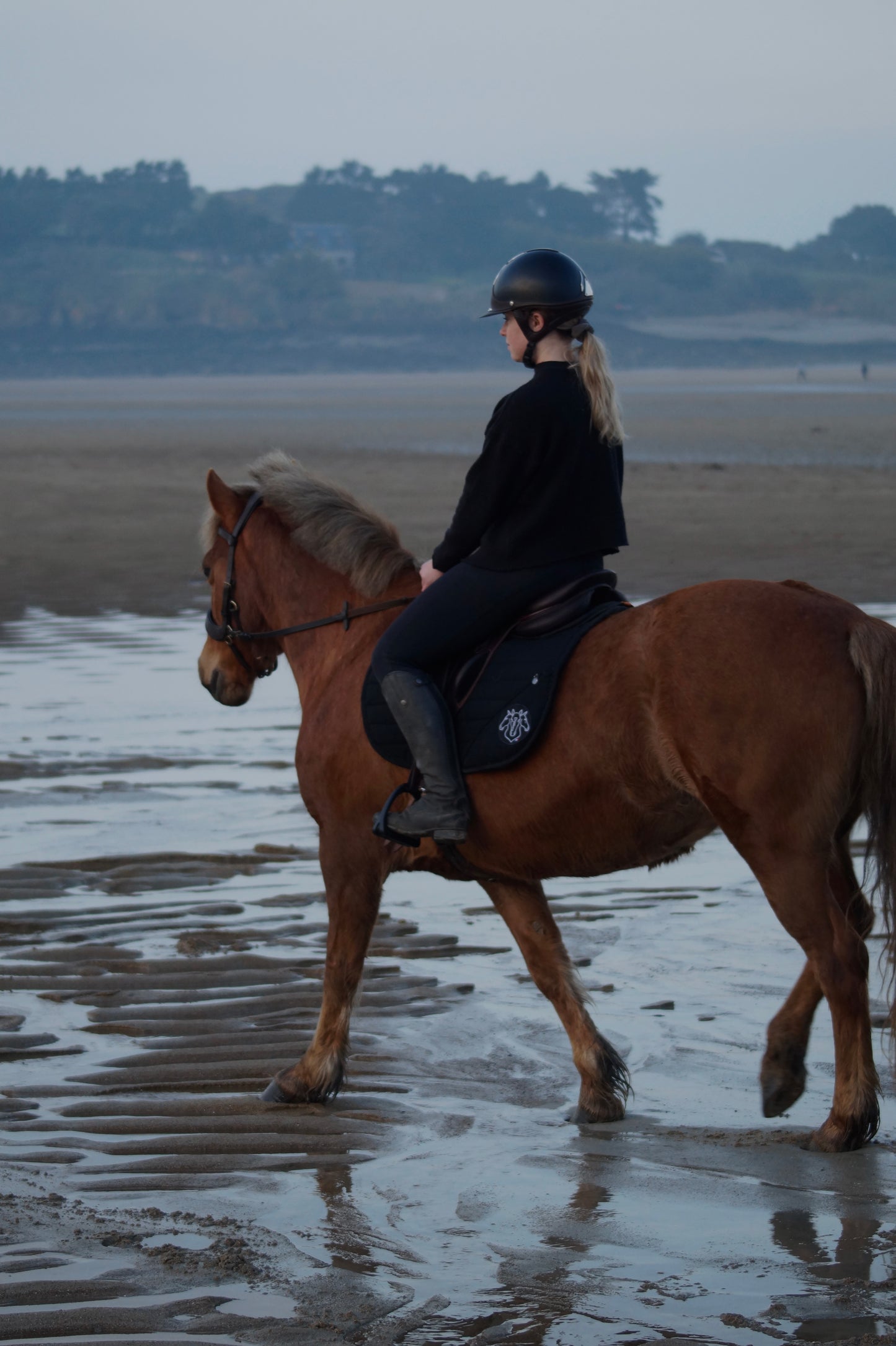 Tapis de selle à POCHE imperméable - LOGO FLEHMEN