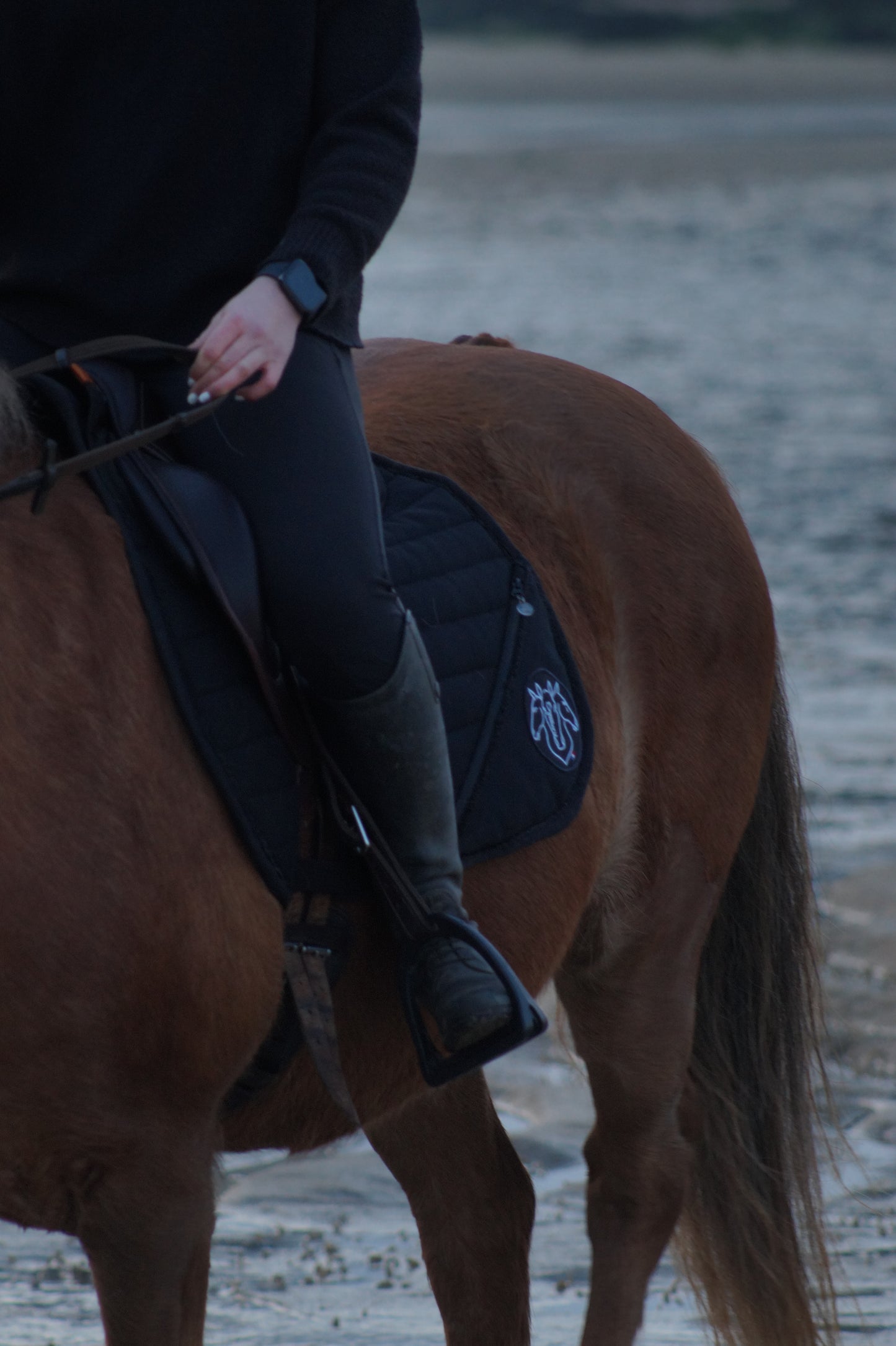 Tapis de selle à POCHE imperméable - LOGO FLEHMEN