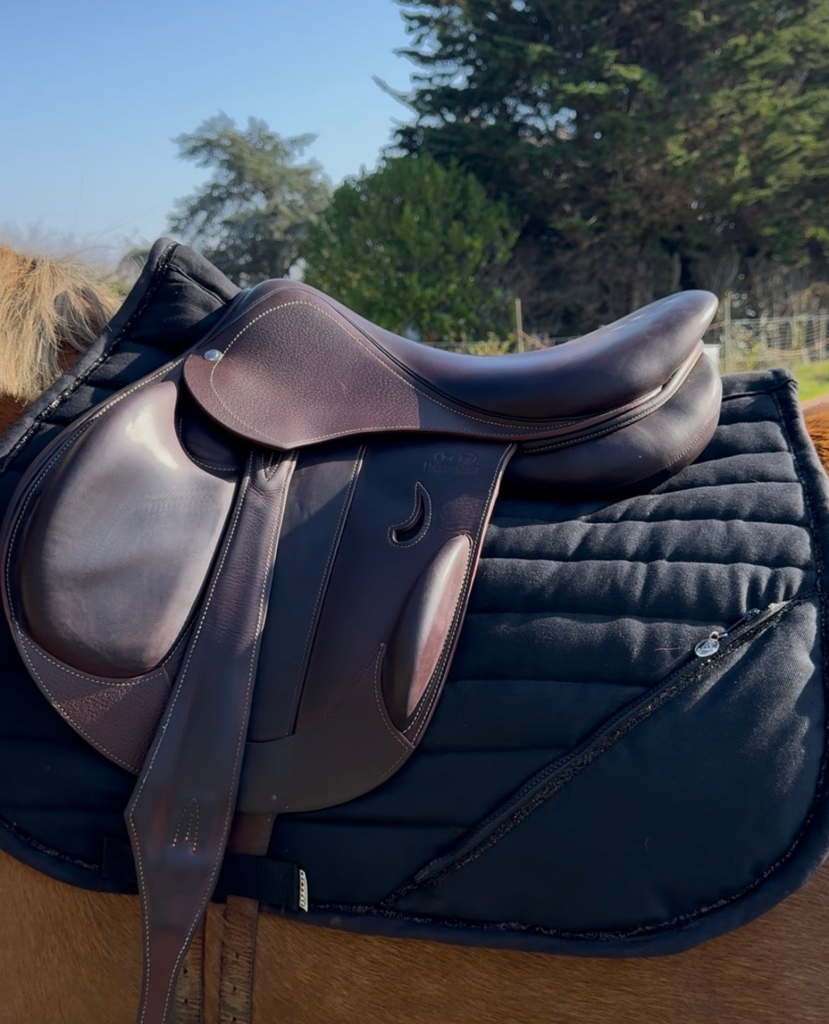 Tapis de selle à POCHE - en précommande