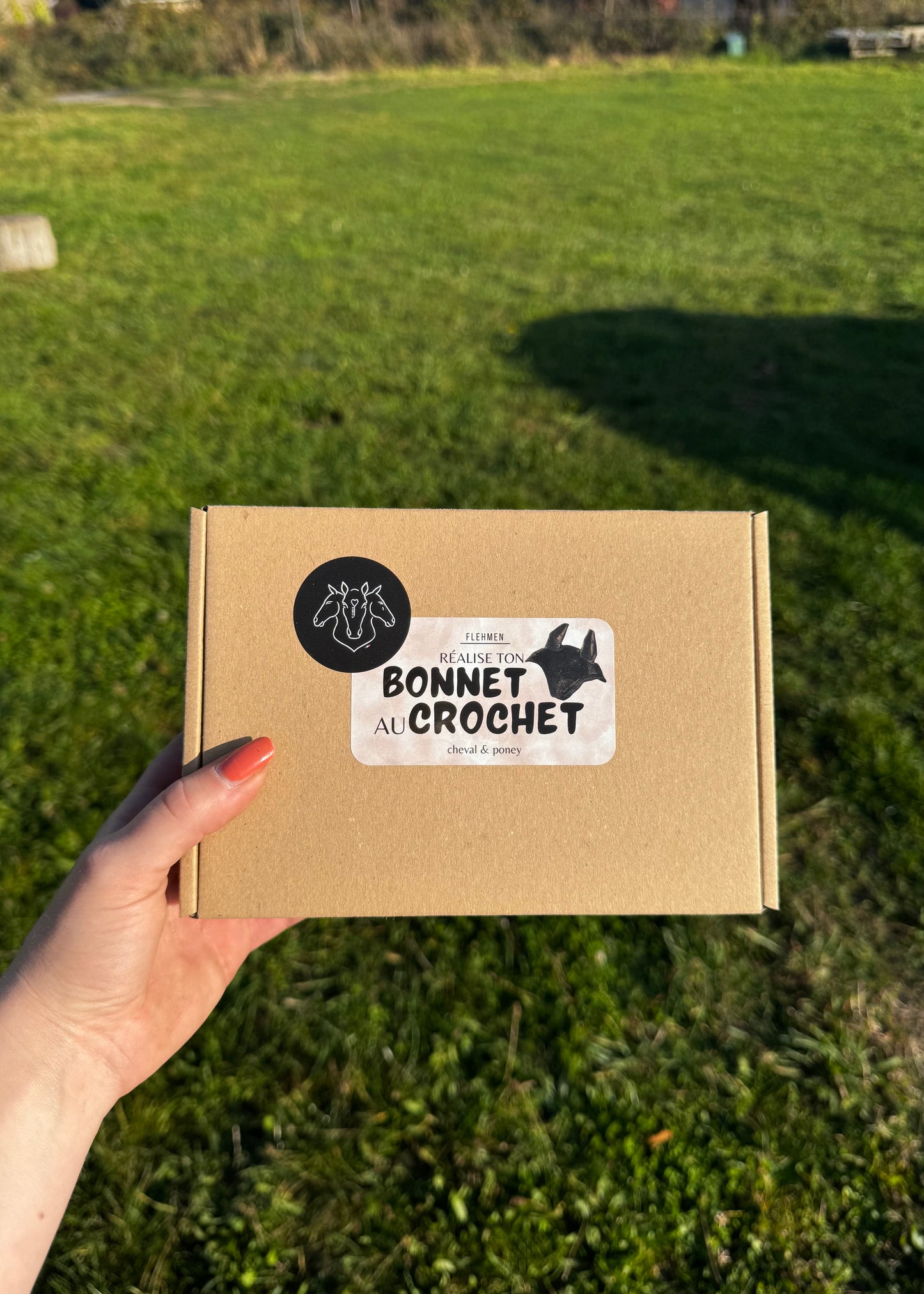 Box DIY "réalise ton bonnet au crochet CHEVAL & PONEY"
